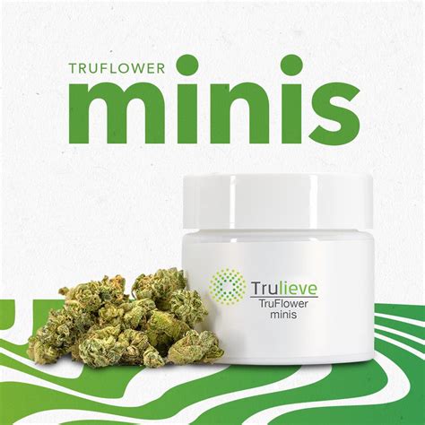 Shop Trulieve's Englewood, Florida dispensary for delivery or local pickup. Find your perfect strain for relief and a seamless purchasing experience. ... Store Hours ... 